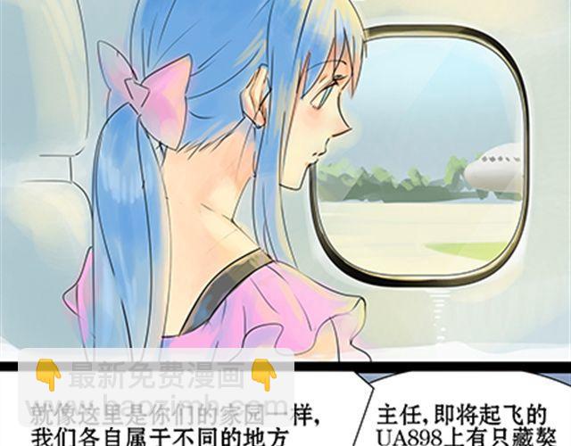 一条狗#41、42-第38话