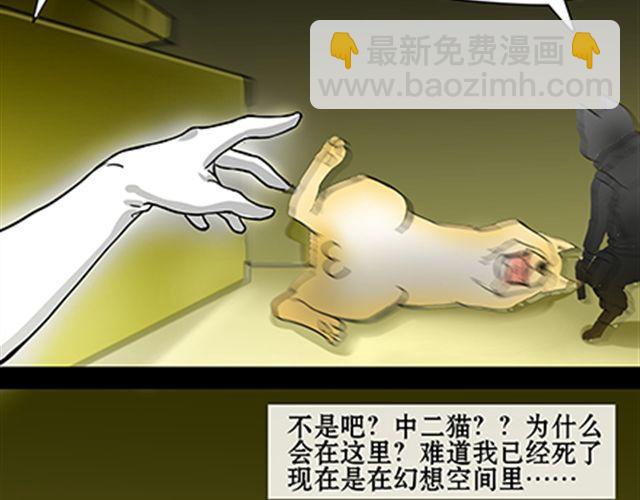 一条狗#41、42-第38话