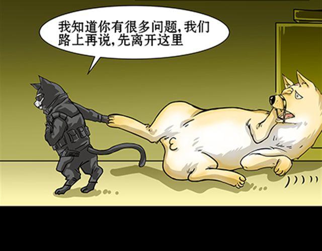 一条狗#41、42-第38话