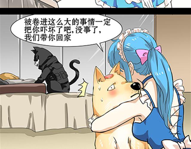 一条狗#41、42-第38话