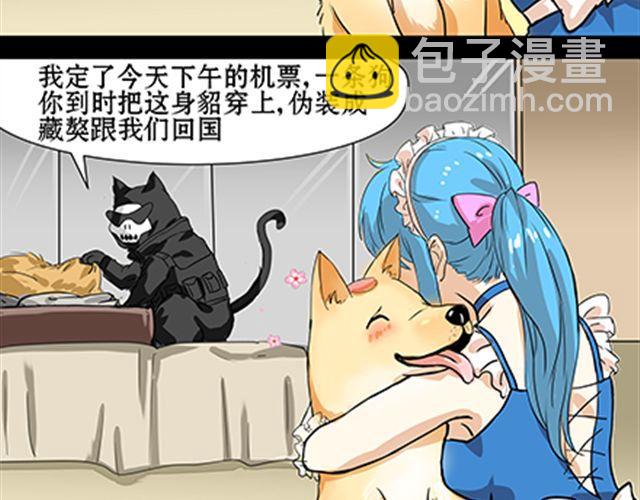 一条狗#41、42-第38话