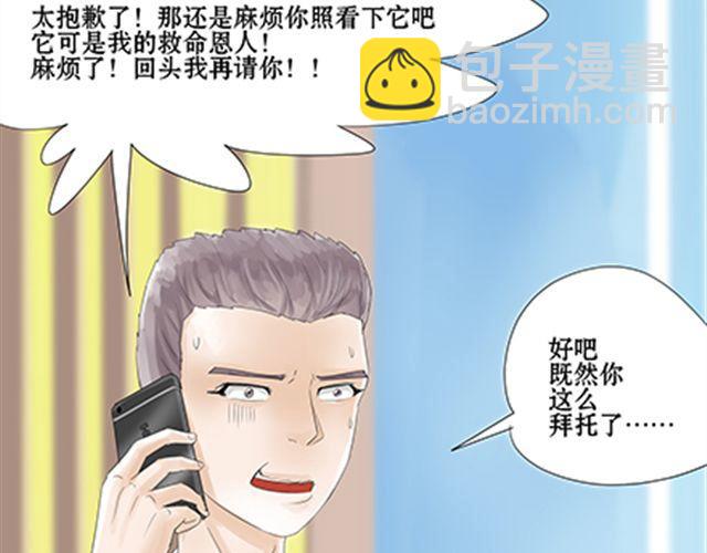 一条狗#44-第40话