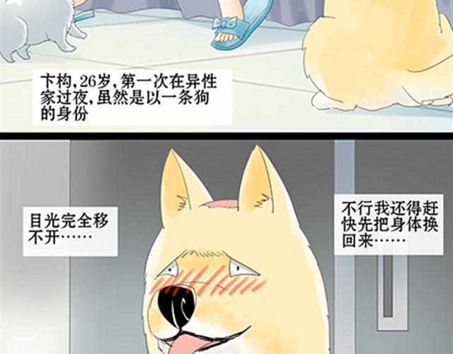 一条狗#46-第42话