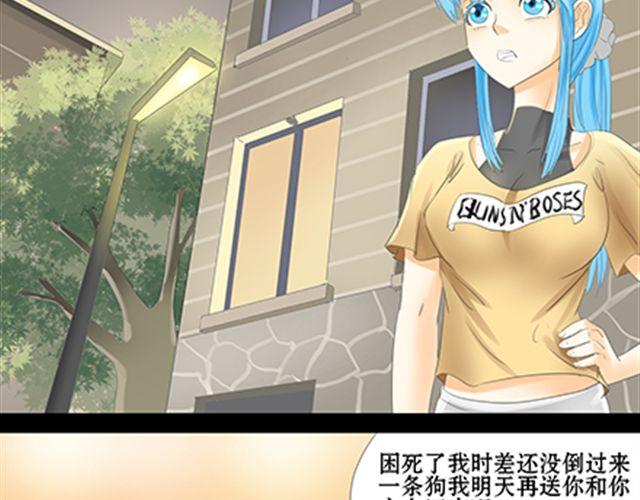 一条狗#46-第42话