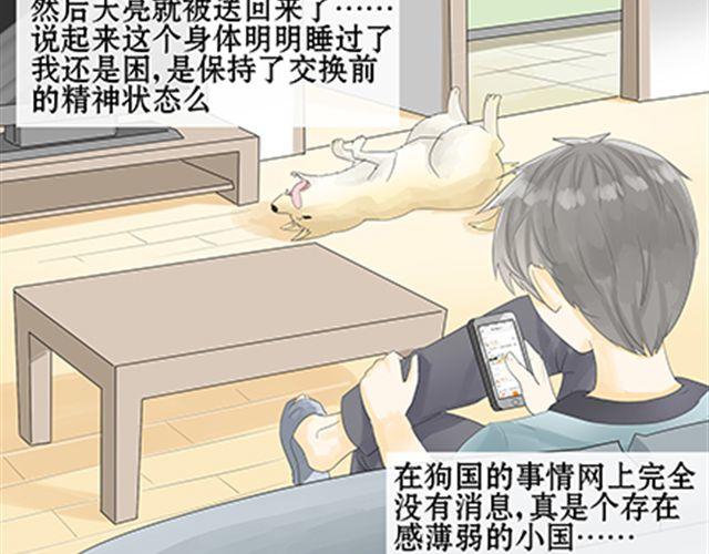 一条狗#48-第44话