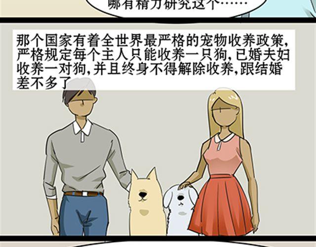 一条狗#51-第46话