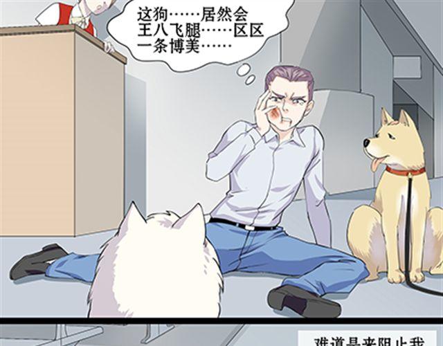 一条狗#53-第48话