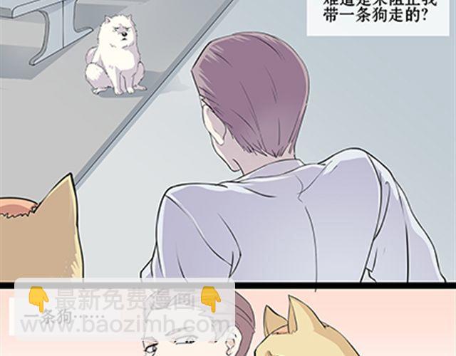 一条狗#53-第48话