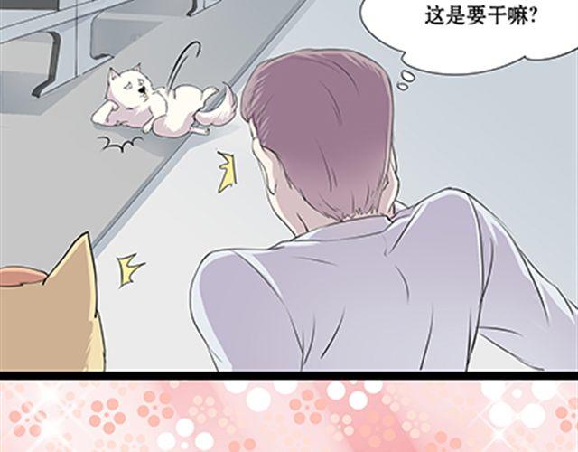 一条狗#53-第48话