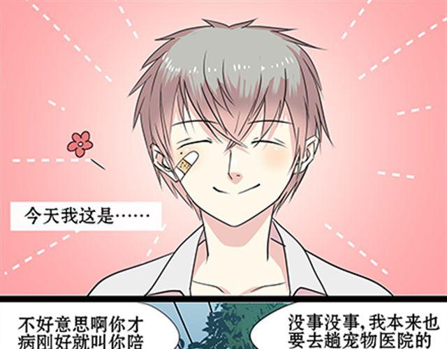 一条狗#55 我这算是约会吧-第50话