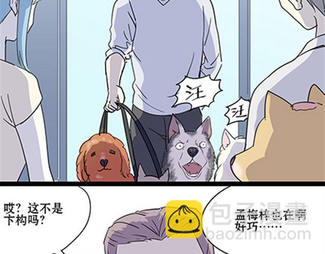 一条狗#55 我这算是约会吧-第50话