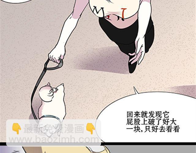 一条狗#55 我这算是约会吧-第50话