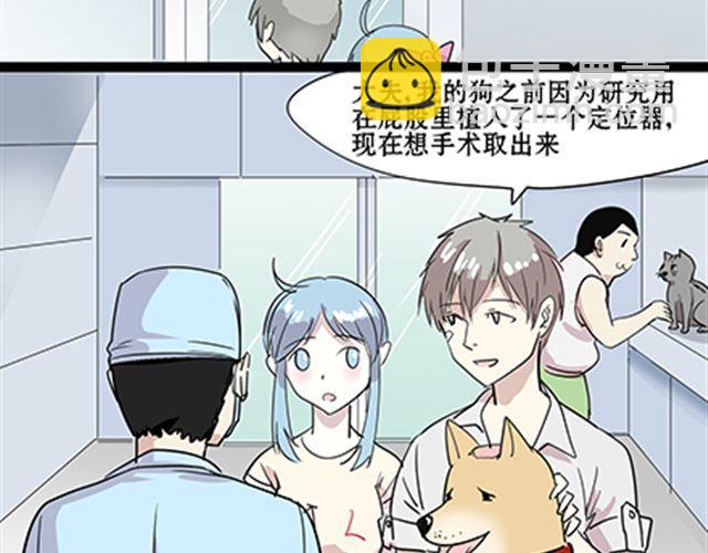 一条狗#55 我这算是约会吧-第50话