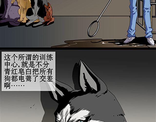一条狗#58 要被电了-第52话