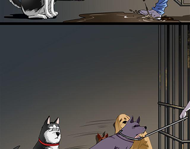 一条狗#58 要被电了-第52话