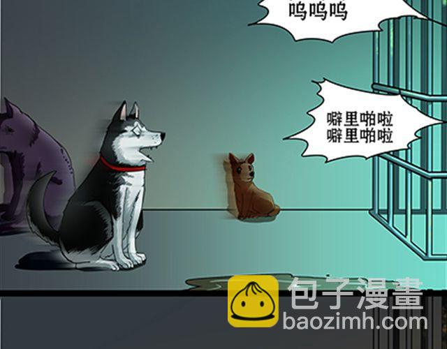 一条狗#58 要被电了-第52话