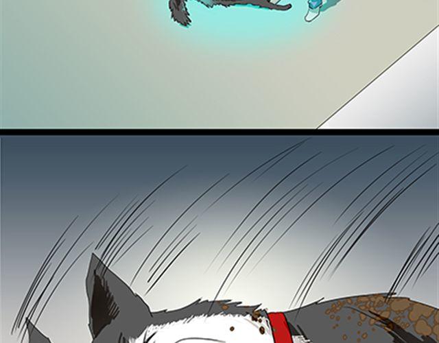 一条狗#60、61 狗还会漂移-第54话