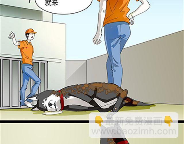 一条狗#60、61 狗还会漂移-第54话