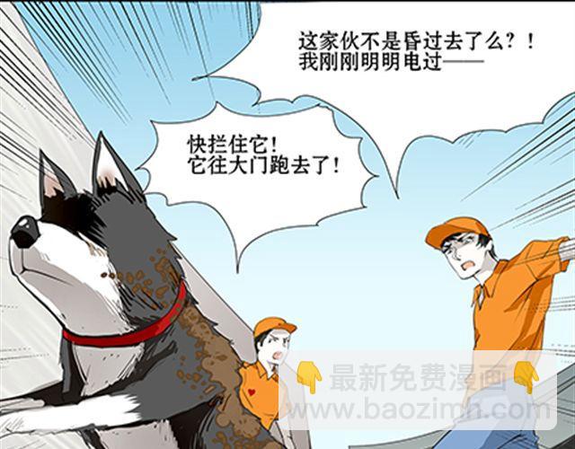 一条狗#60、61 狗还会漂移-第54话