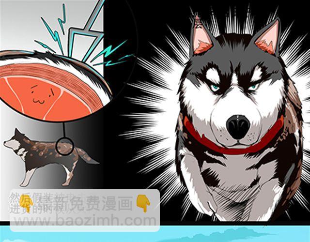 一条狗#60、61 狗还会漂移-第54话