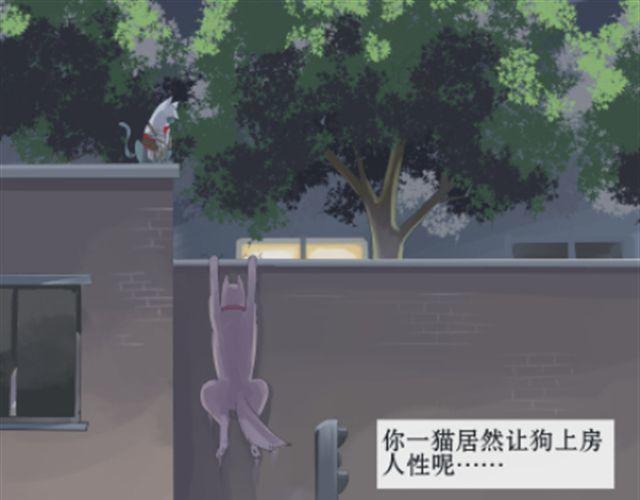 一条狗#8 中二猫-第8话