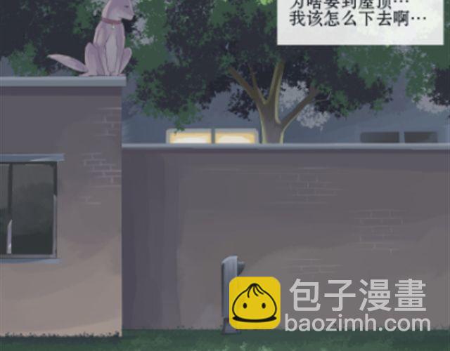 一条狗#8 中二猫-第8话