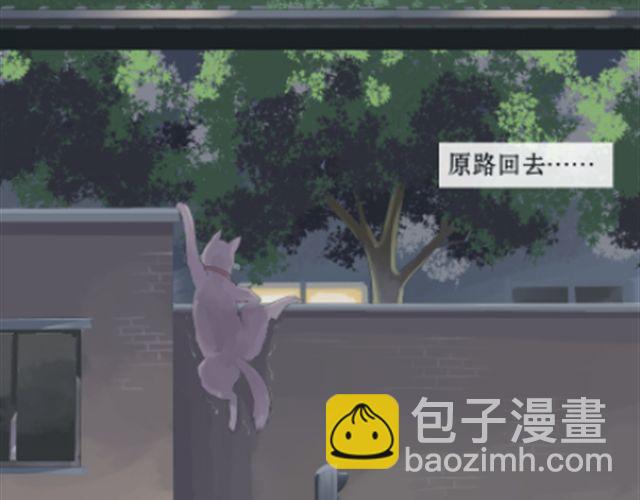 一条狗#8 中二猫-第8话