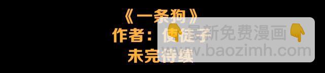 一条狗#10 被人盯上了-第10话