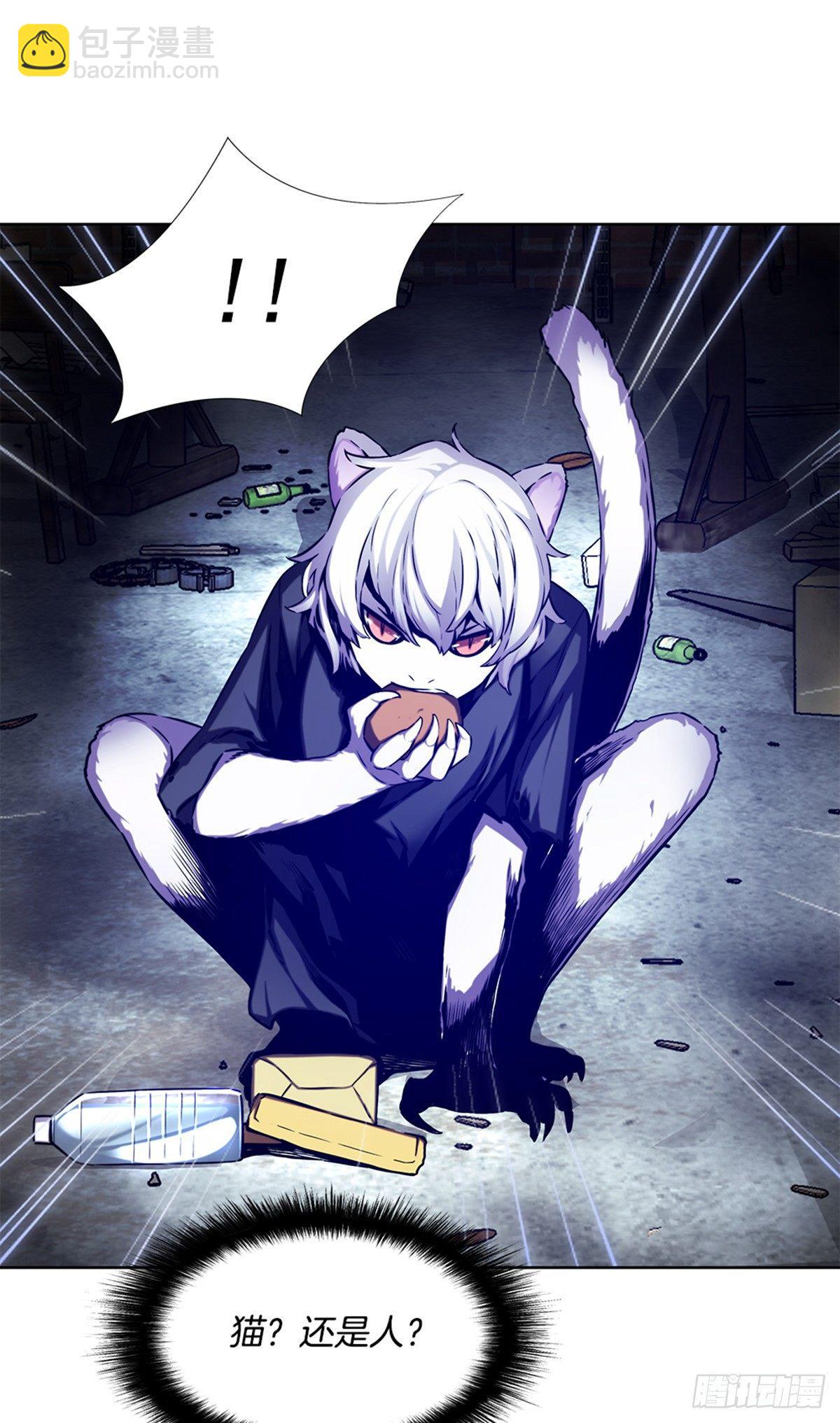 猫女(1/2)-第26话