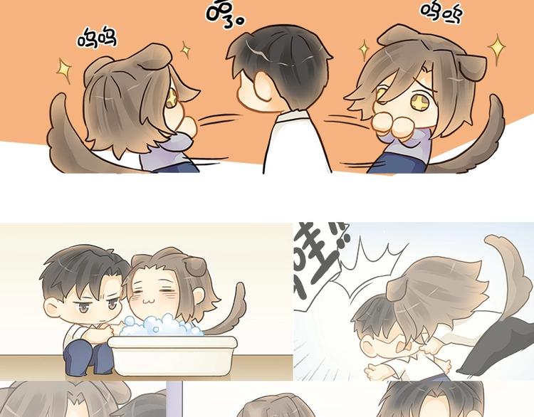 意外事故 双签特典版预售开启-第66话