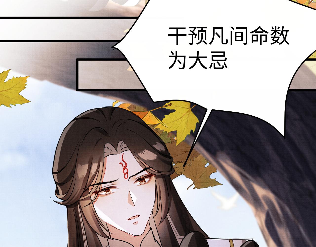 12 凤十六篇：有凤来仪(1/3)-第14话