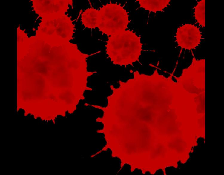 第3话  网红之死(1/5)-第4话