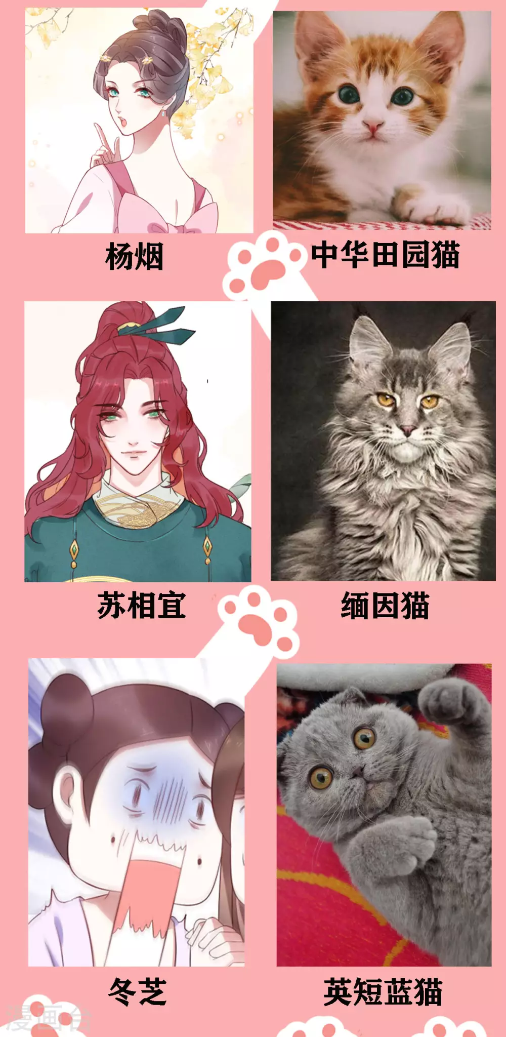 停更公告 喵喵喵！-第22话