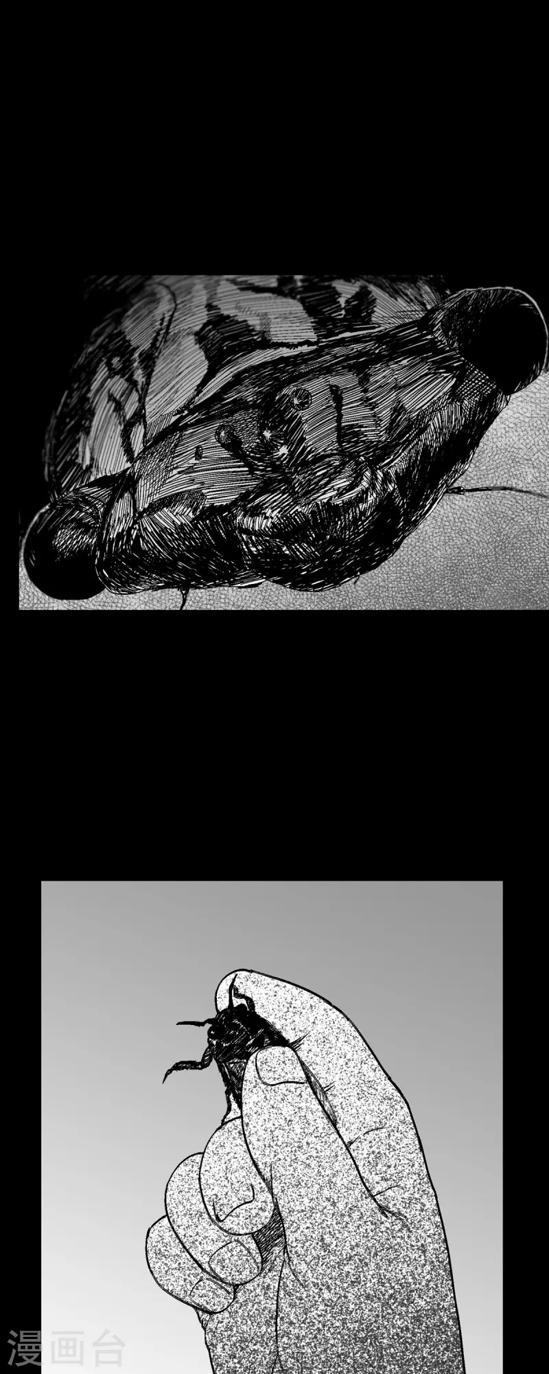 第55话 从没想过失败-第56话