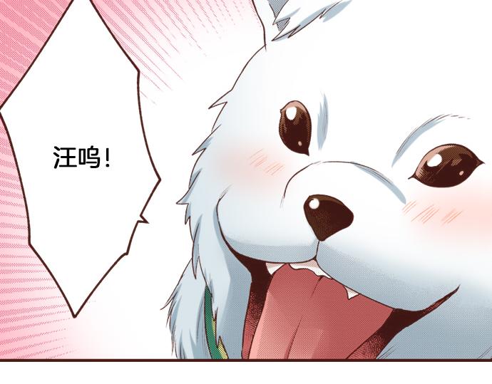 第24话 忠犬上线！(1/2)-第24话