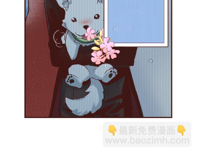 第24话 忠犬上线！(1/2)-第24话