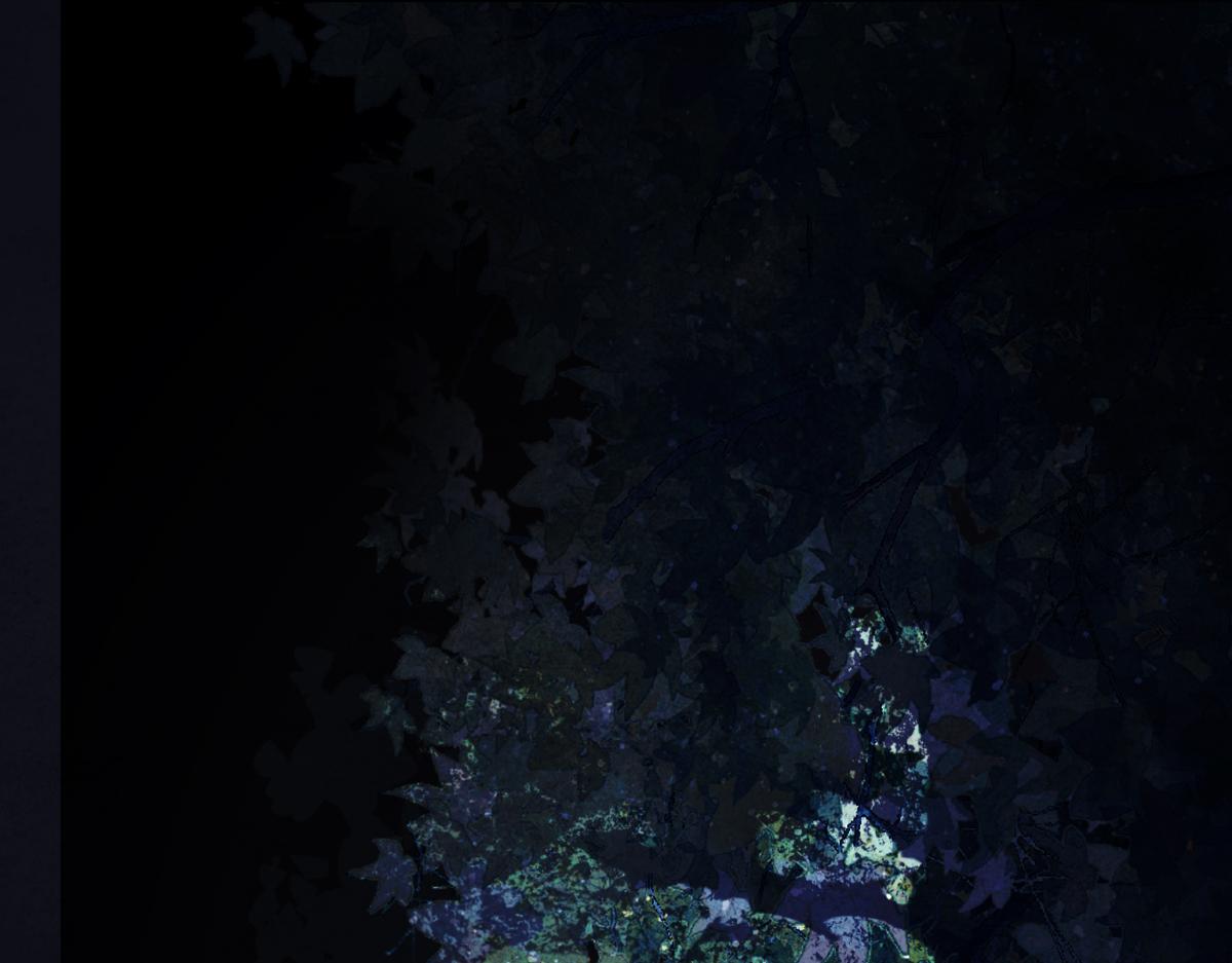 第三十六话 情深至苦(1/4)-第40话