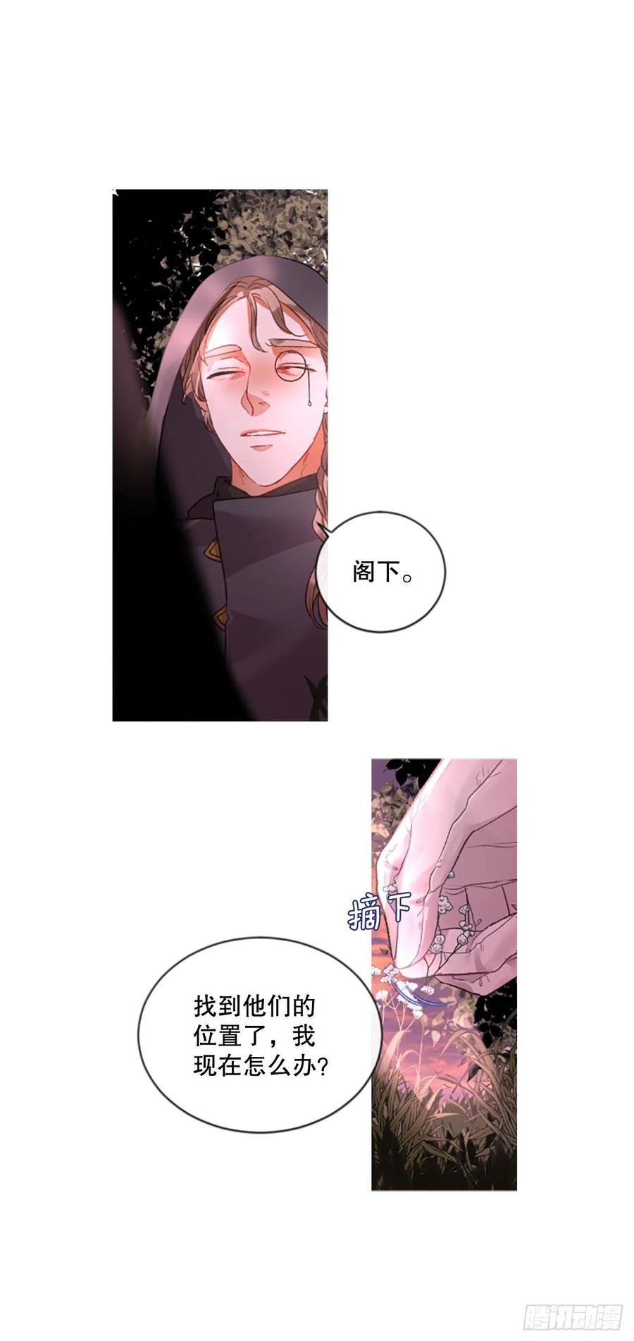 82.白鹰伊里斯-第84话