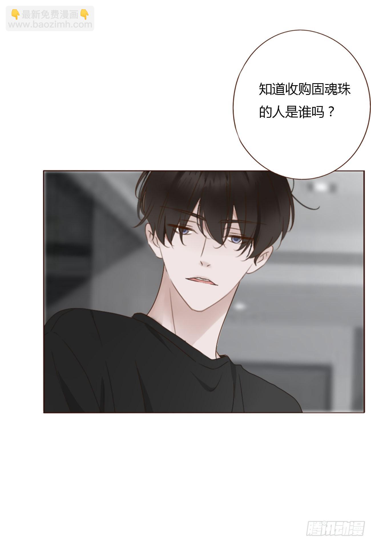 九十三章 固魂珠2-第100话