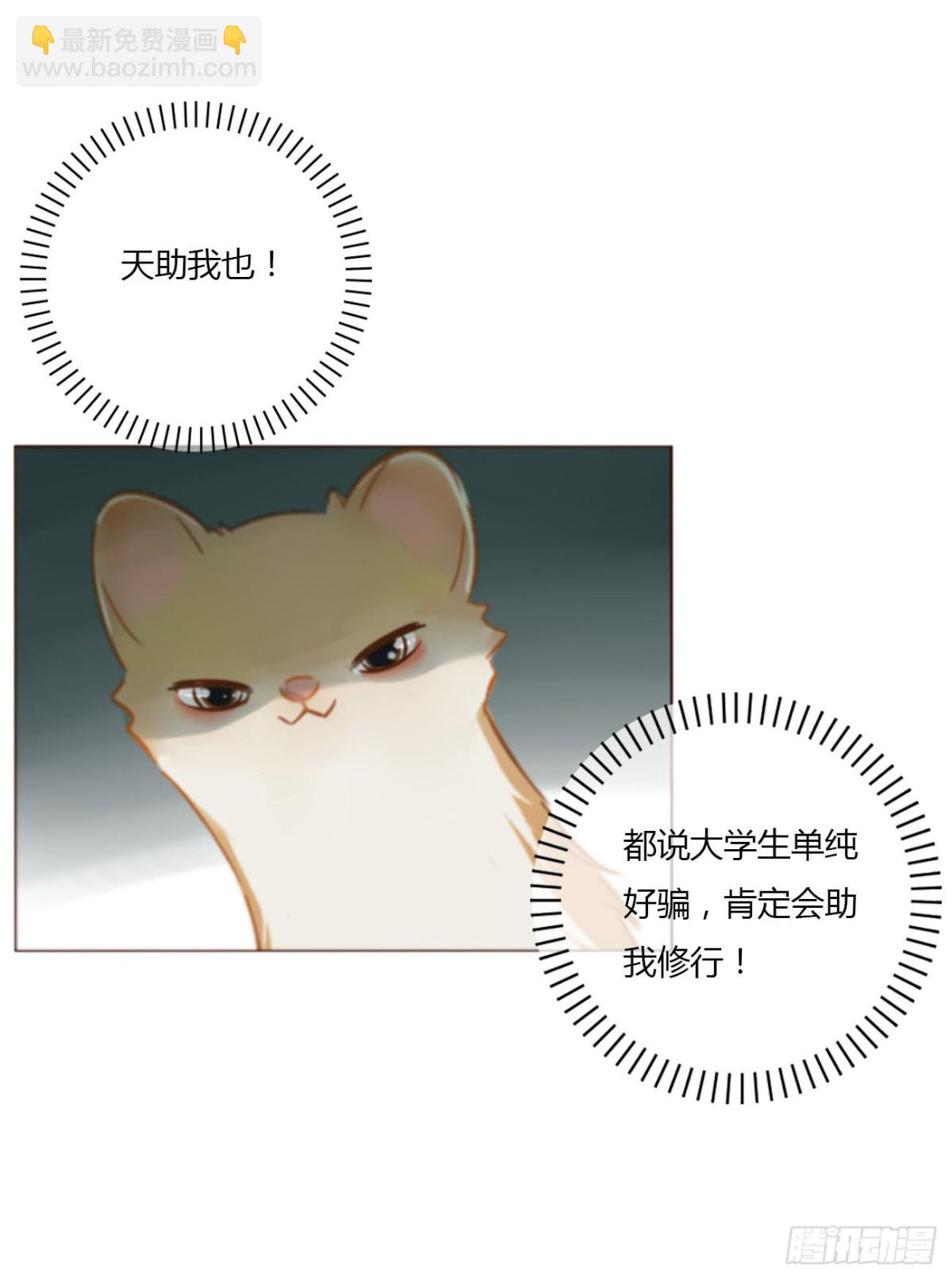 一四一章 叶梓-第148话