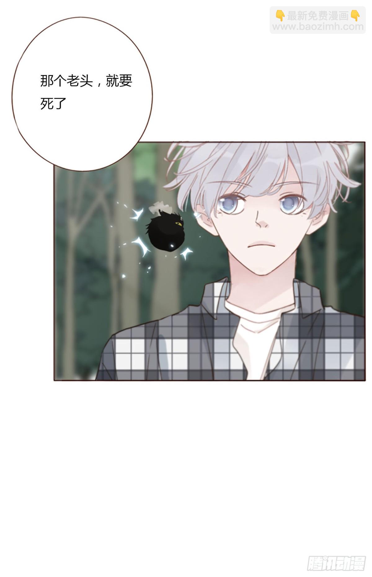 一四一章 叶梓-第148话