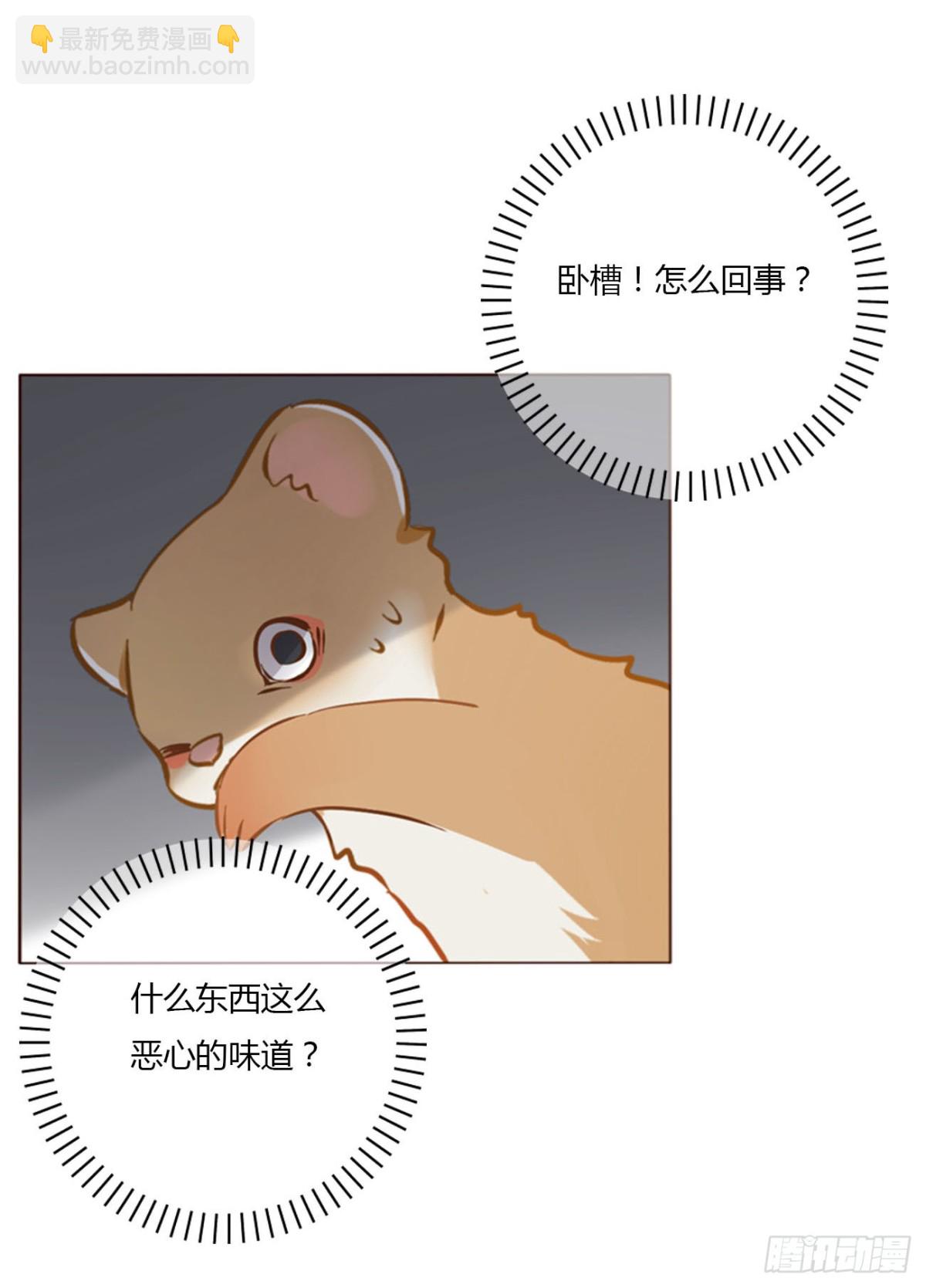 一四一章 叶梓-第148话