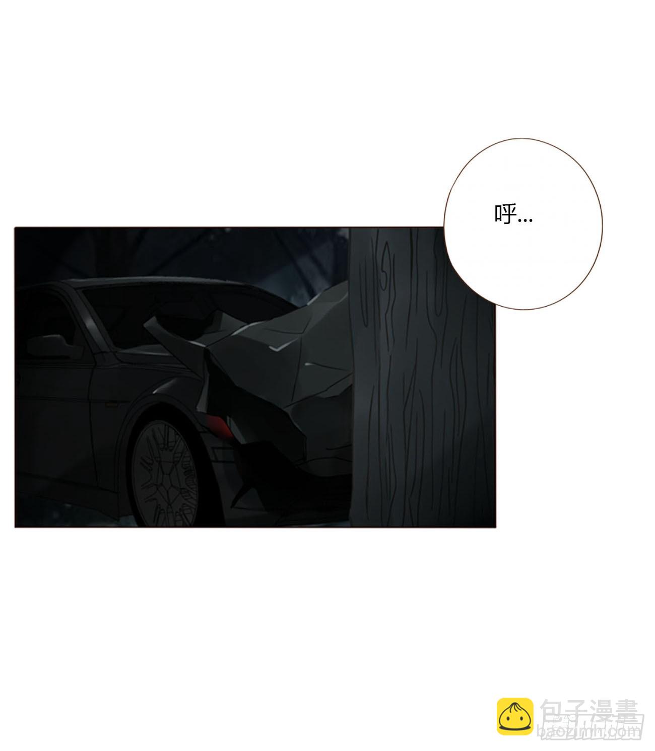 一五五章 车祸-第162话