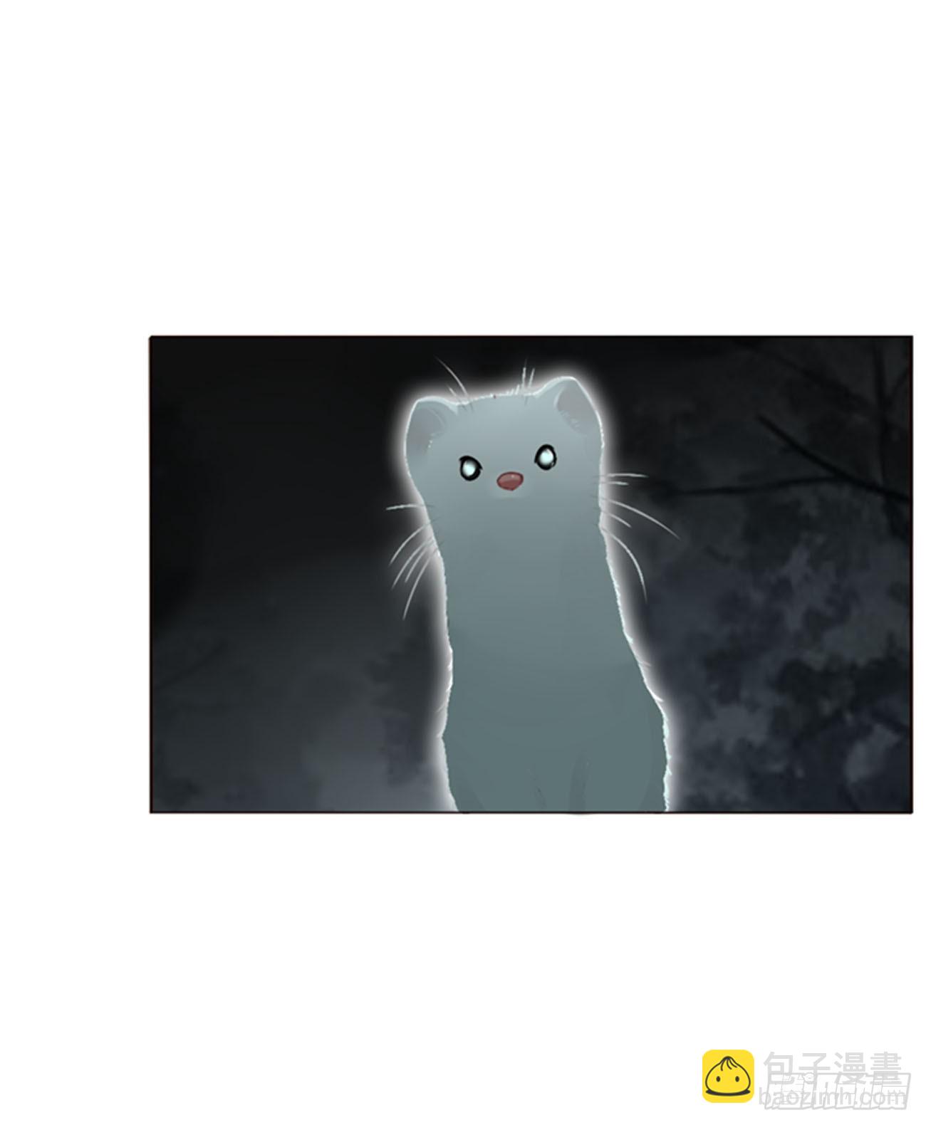 一五五章 车祸-第162话