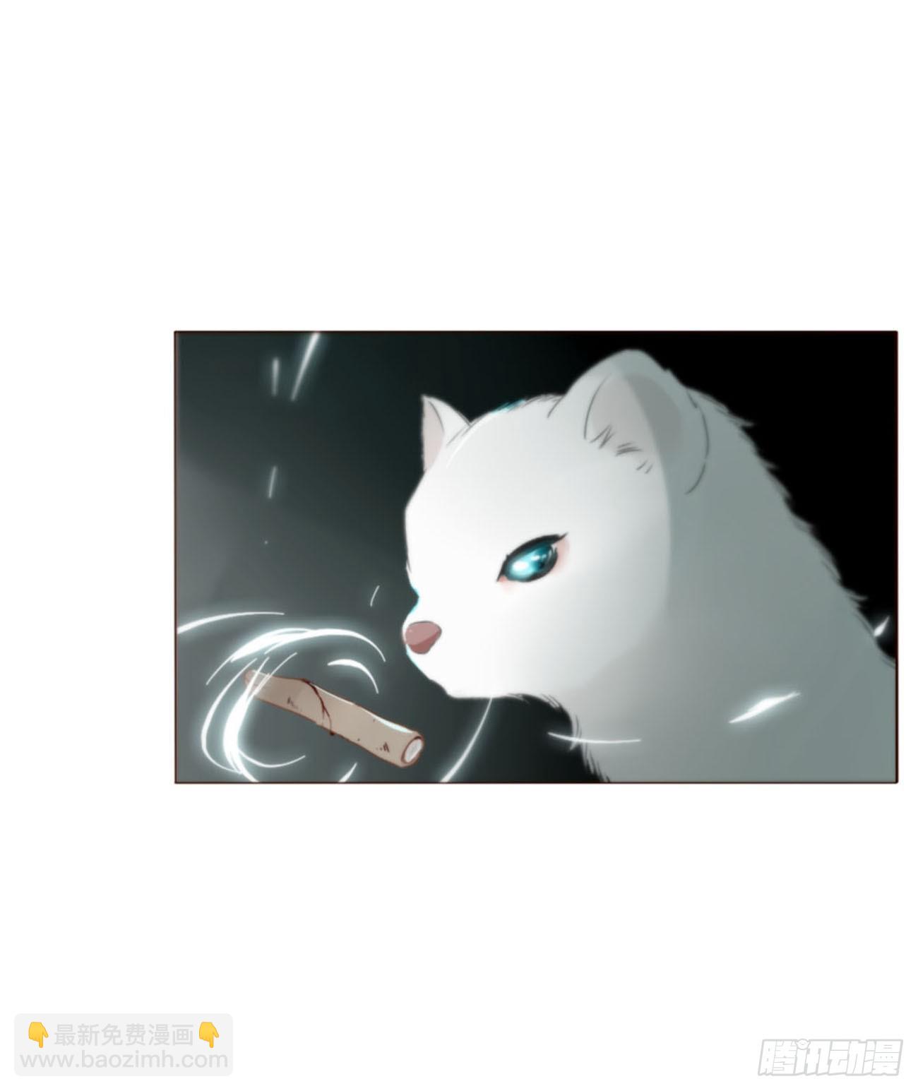 一五五章 车祸-第162话