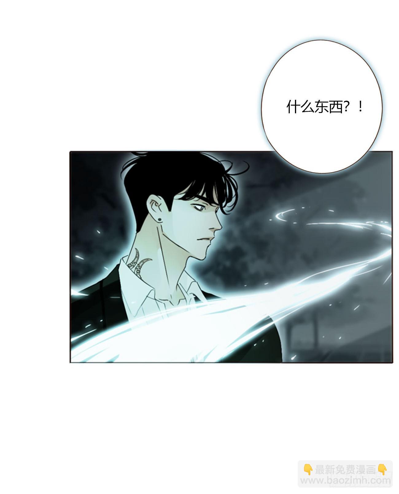 一五五章 车祸-第162话