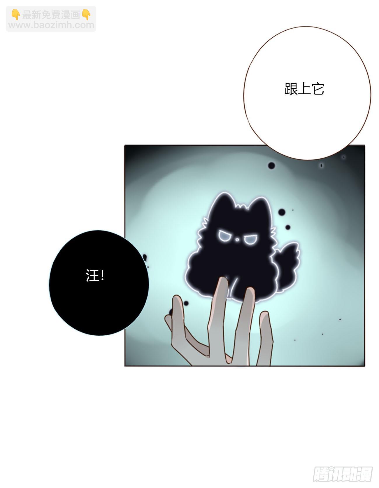 一五五章 车祸-第162话