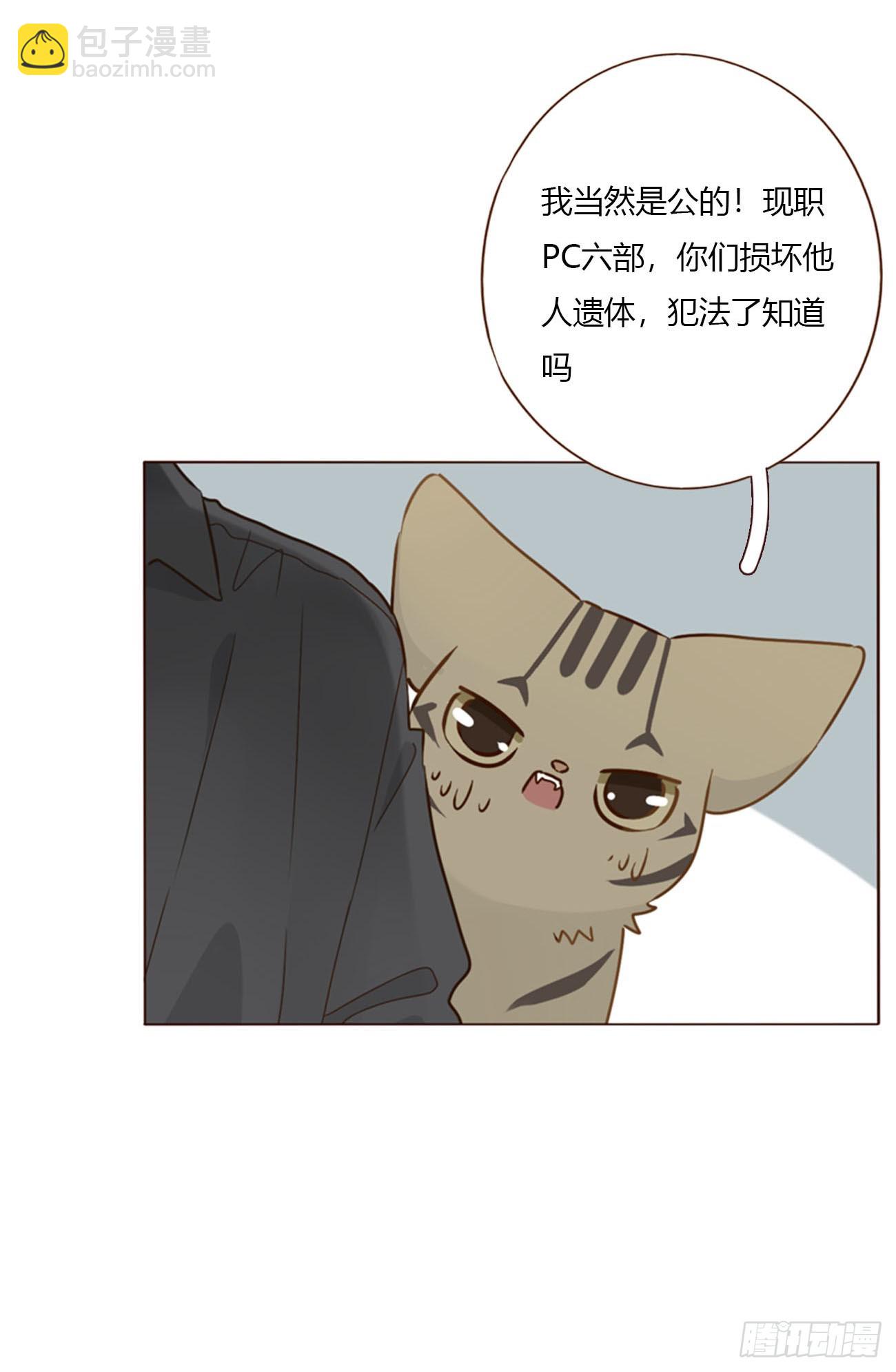 一五七章 神明2-第164话