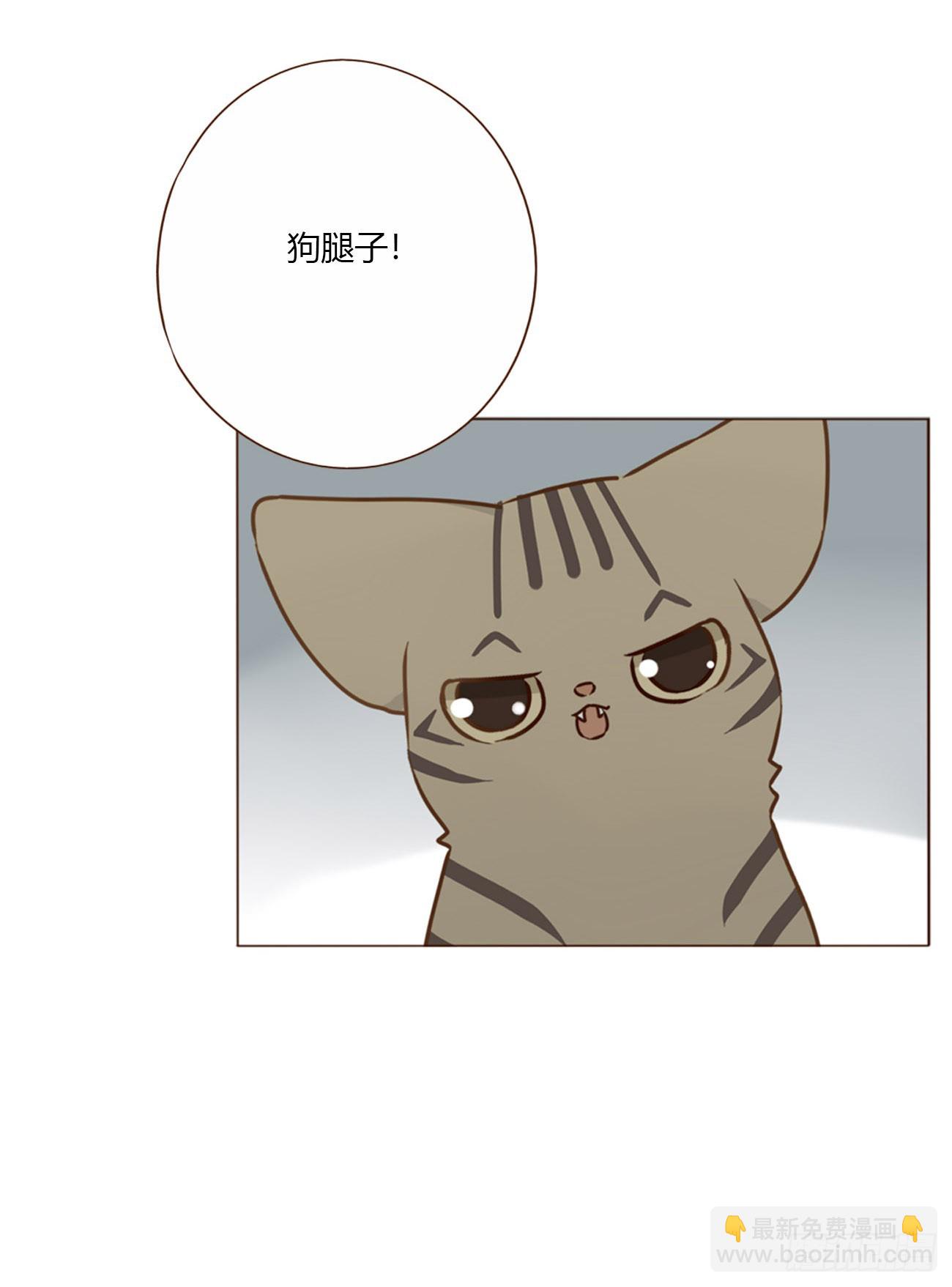 一六三章 轻松的一天-第170话