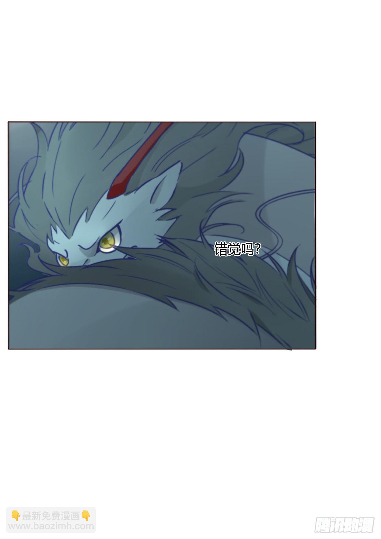 一六七章 灶笼-第174话